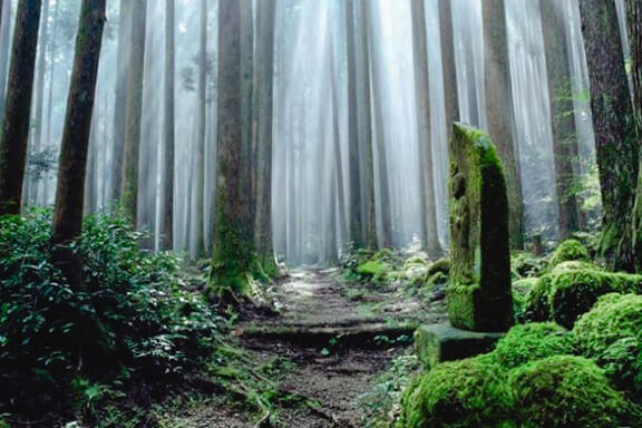 世界遺産「熊野古道・松本峠」を巡るツアー