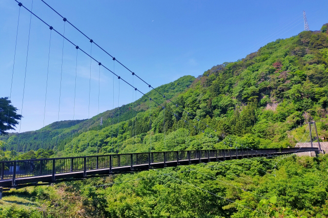 鬼怒楯岩大吊橋 S