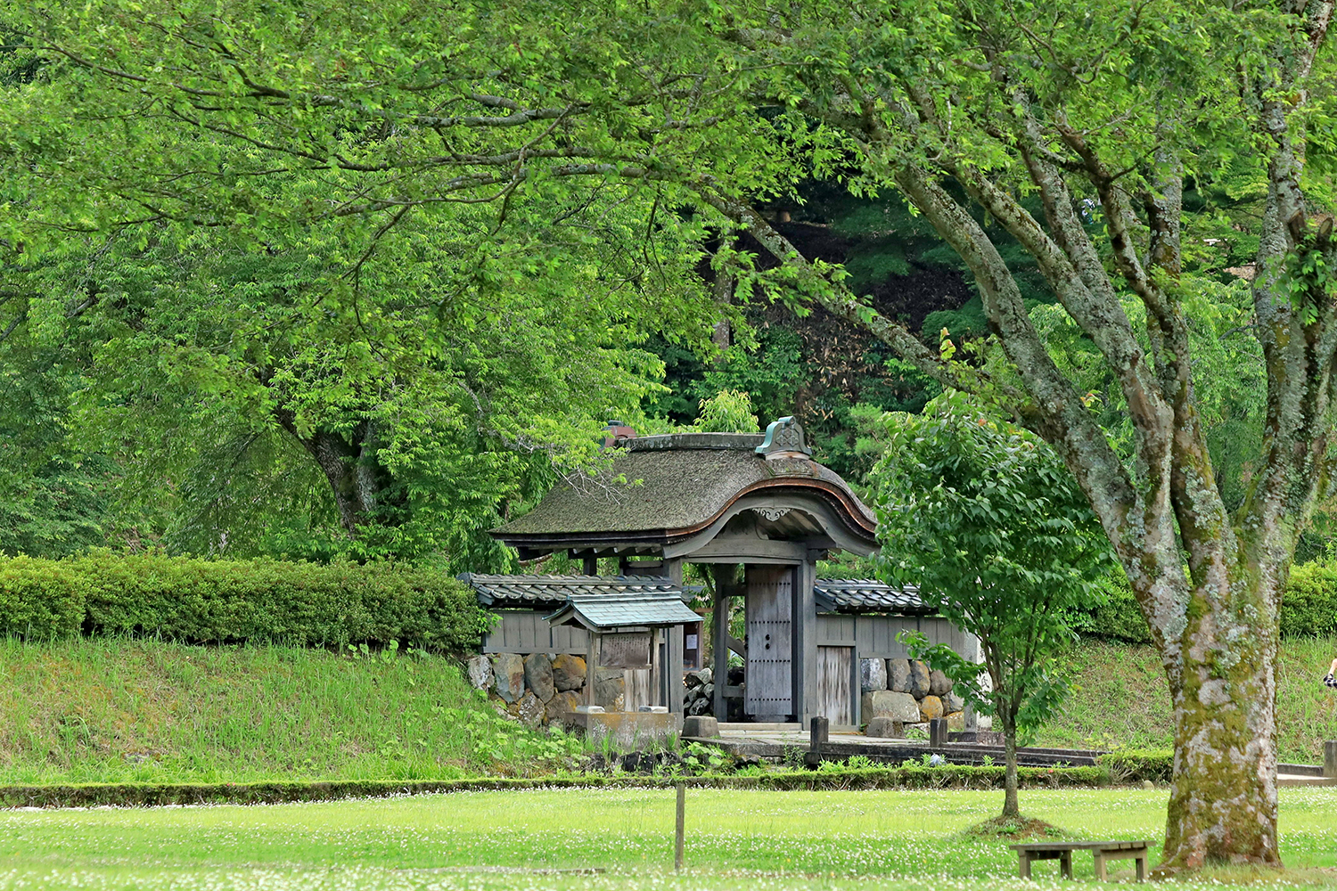 一乗谷朝倉氏遺跡