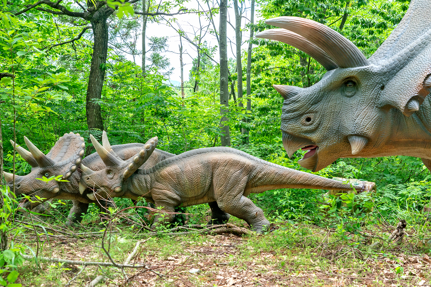 かつやまディノパーク