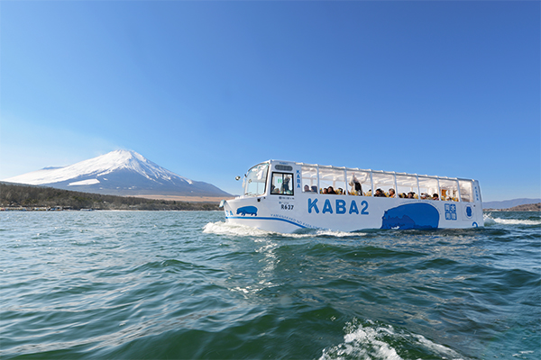 Yamanakako Panorama Inn Kaba