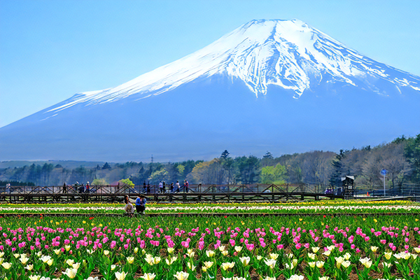 Yamanakako Panorama Inn Hananomiyako Koen