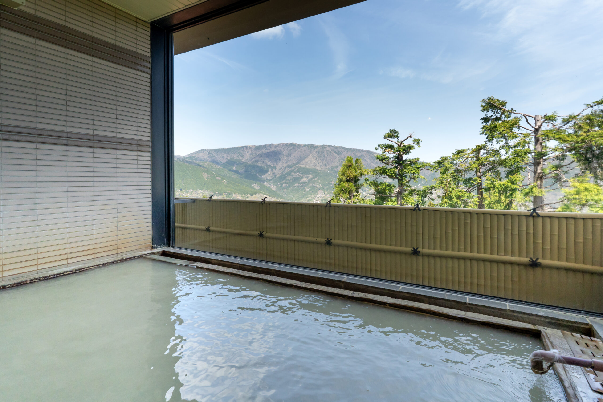 トピー強羅荘 「源泉かけ流しの湯」