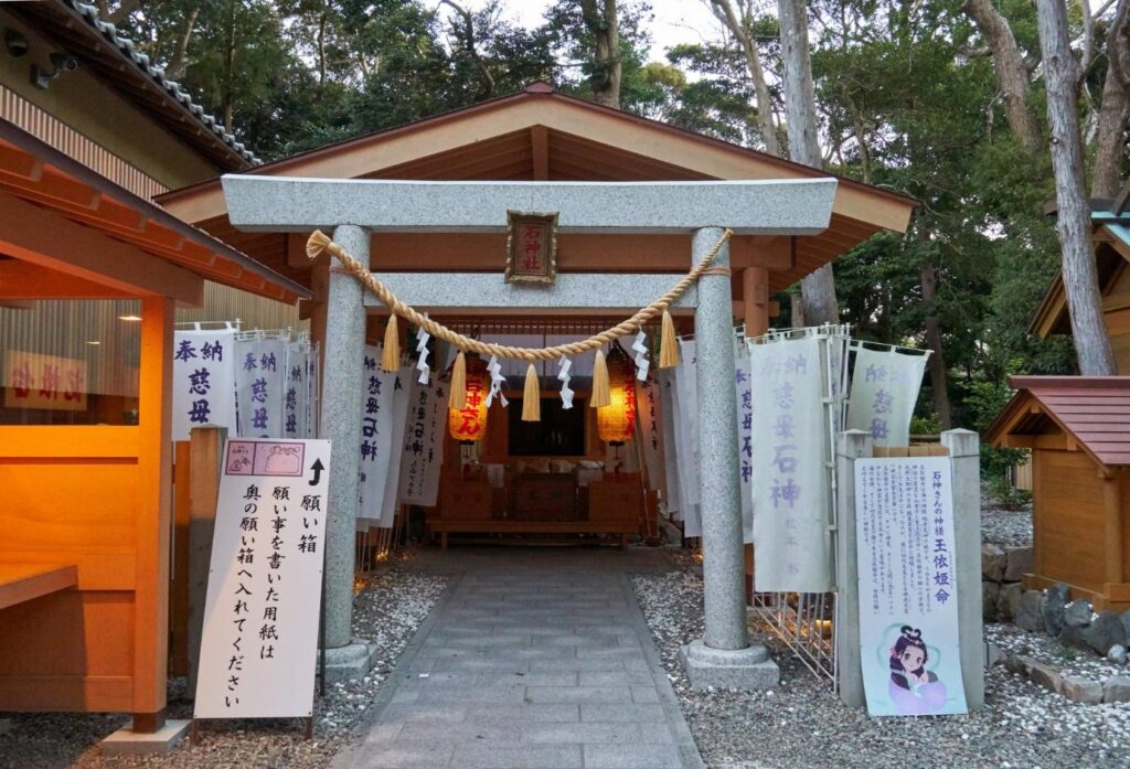 Image11