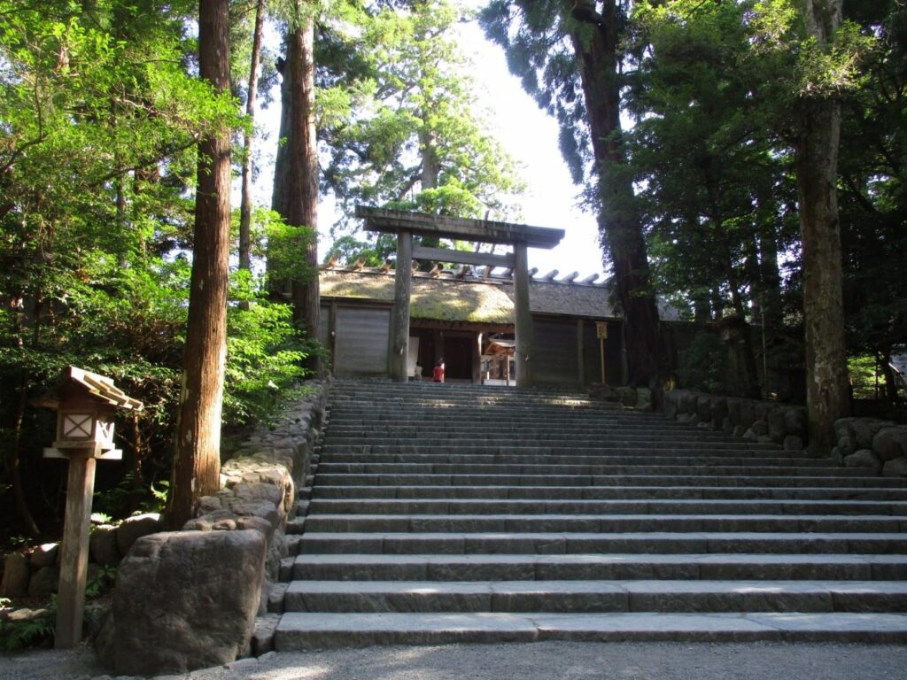 Image7