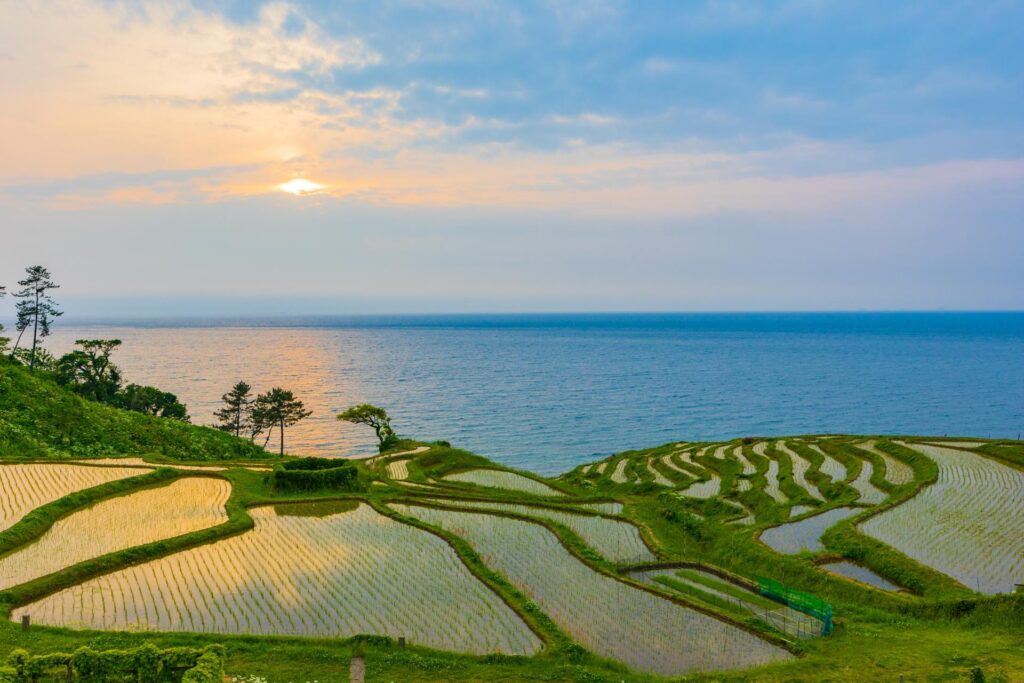 Image21