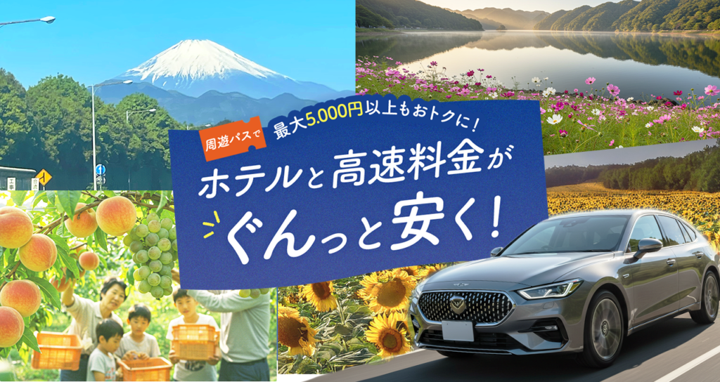 Staynavi Value Drive