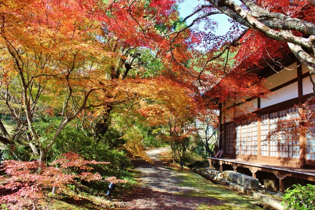 Jinzoji
