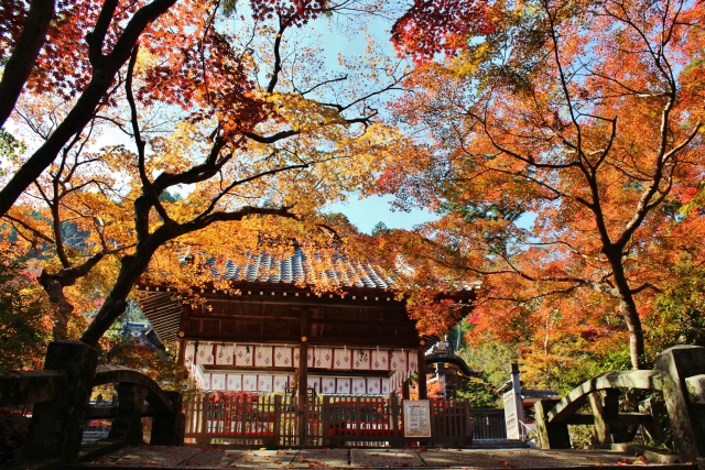 Kuwayama