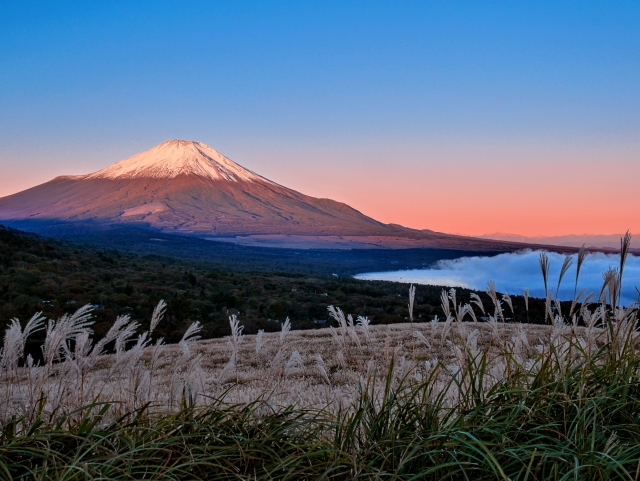 Panoramadai