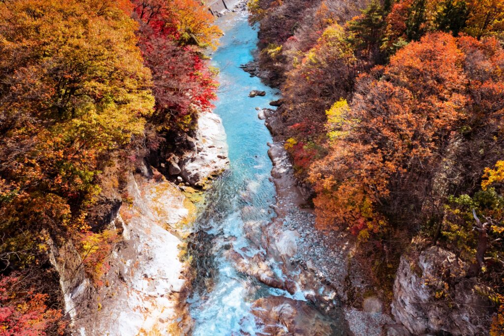 Suwkyo