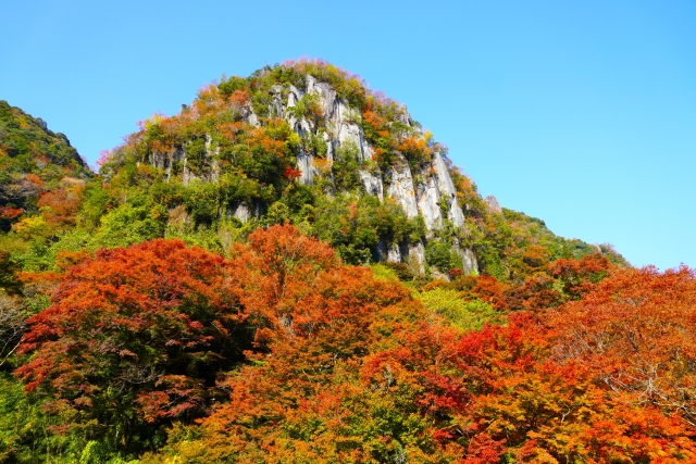 Yamakei