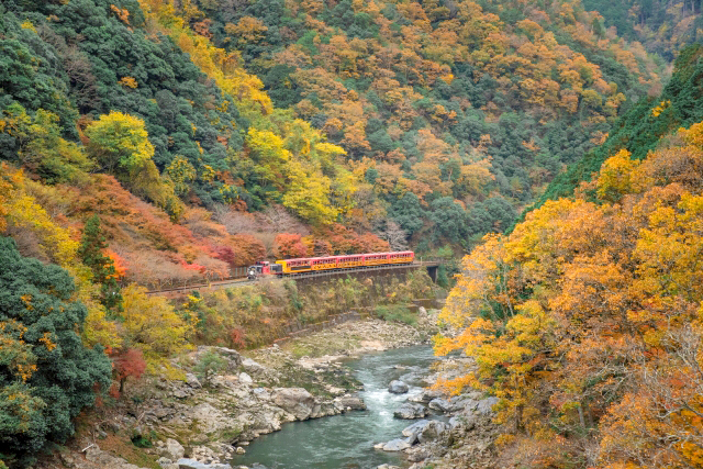 紅葉谷を走る嵯峨野トロッコ列車